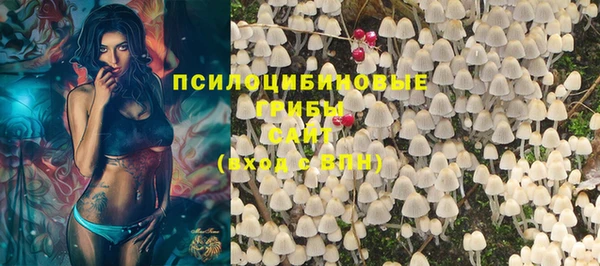 ГАЛЛЮЦИНОГЕННЫЕ ГРИБЫ Горнозаводск
