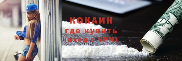 дживик Гусь-Хрустальный