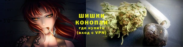 ГАЛЛЮЦИНОГЕННЫЕ ГРИБЫ Горнозаводск