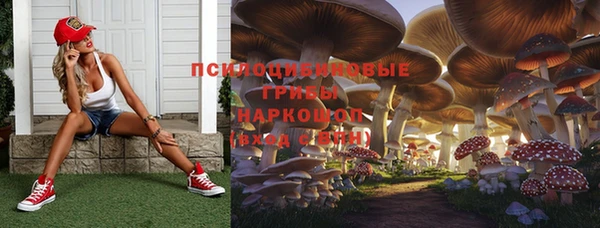 мефедрон Гусиноозёрск