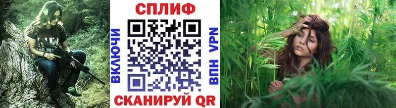 Конопля марихуана Ясный